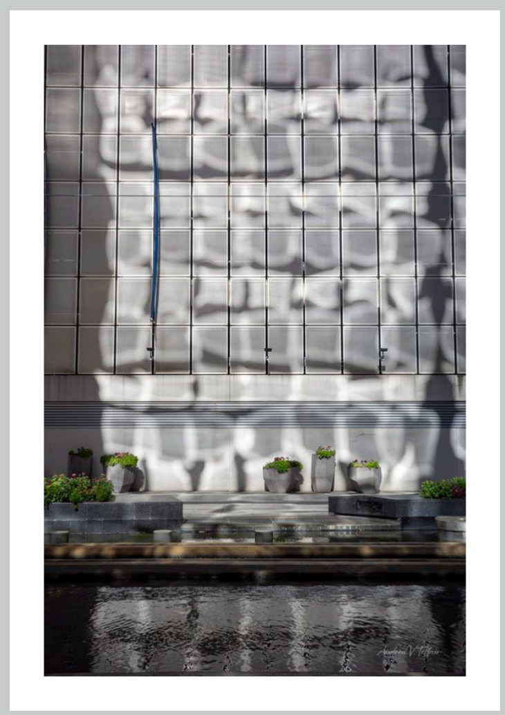 LP Lightplay Reflections in Water