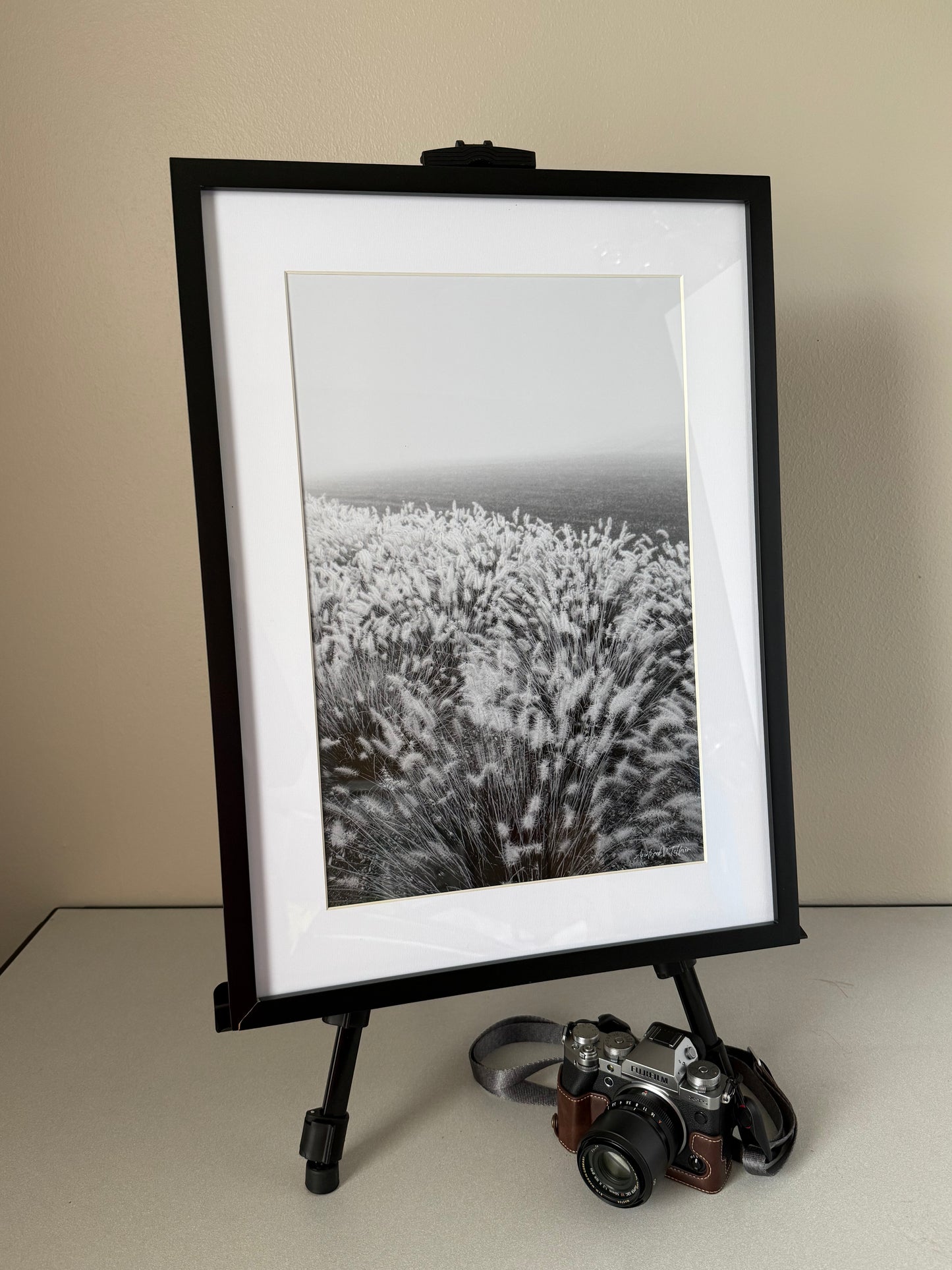 Morning Mist / Artist's Proof / 5x7