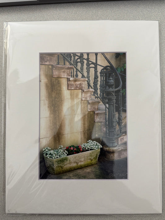 Savannah Staircase - 5x7 Matted