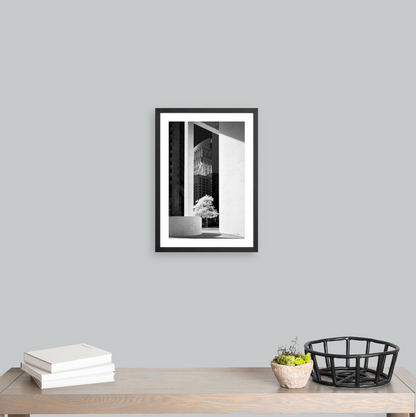 NE Tree in the Morning